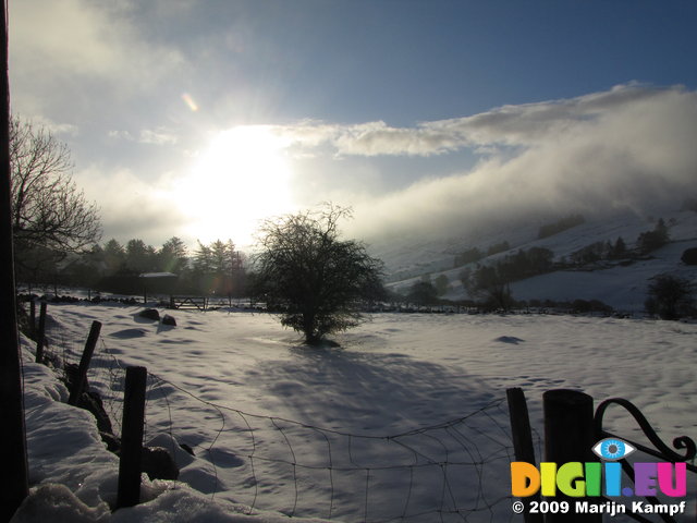 SX02567 Shadow of tree on snow in Wicklow mountains